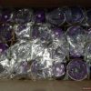 lot 75 purple university bishops coffee glasses Batch goods (miscellaneous) Lots de surplus Ver2-1