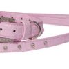 lot 1800 new leashes and collars for dogs Animals accessories Lots de surplus Laisse6