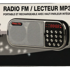 Lot 246 Lecteurs MP3 et Radio FM Rechargeables Accessoires Électrique Lots de surplus Fm-3000