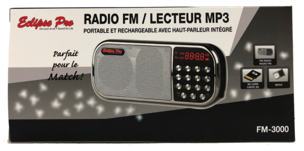 Lot 246 Lecteurs MP3 et Radio FM Rechargeables Accessoires Électrique Lots de surplus Fm-3000