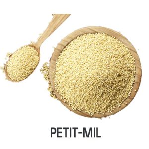 Céréales Petit-Mil en 2 lbs en Vrac, Quantités Illimitées Alimentation Lots de surplus Petit-mil