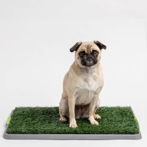 potty patch reusable dog trainer 414684 Lot 59 Tapis Entraînement Gazon pour Chiens