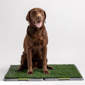 potty patch reusable dog trainer 642494 Lot 68 Tapis Entraînement Gazon Larges pour Chiens