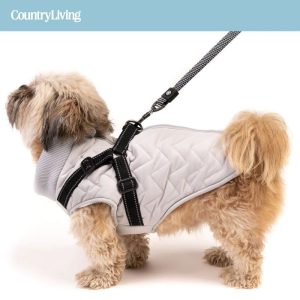 quilted dog jacket with built in harness grey 381056 Lot 45 Harnais Gris pour Chiens
