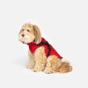 quilted dog jacket with built in harness red 429688 Lot 45 Harnais Gris pour Chiens
