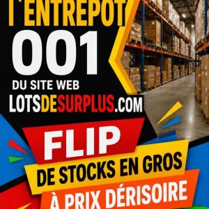 000u VISITEZ L`ENTREPÔT 001 DU SITE WEB, FLIPS DE STOCKS EN GROS À PRIX DÉRISOIRS Lots en Promotion