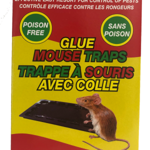 mt 4 Lot 12679 Trappes à Souris avec Colle Sans Poison