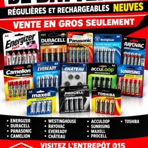 bat 6 MILLIONS DE BATTERIES RÉGULIÈRES ET RECHARGEABLES NEUVES