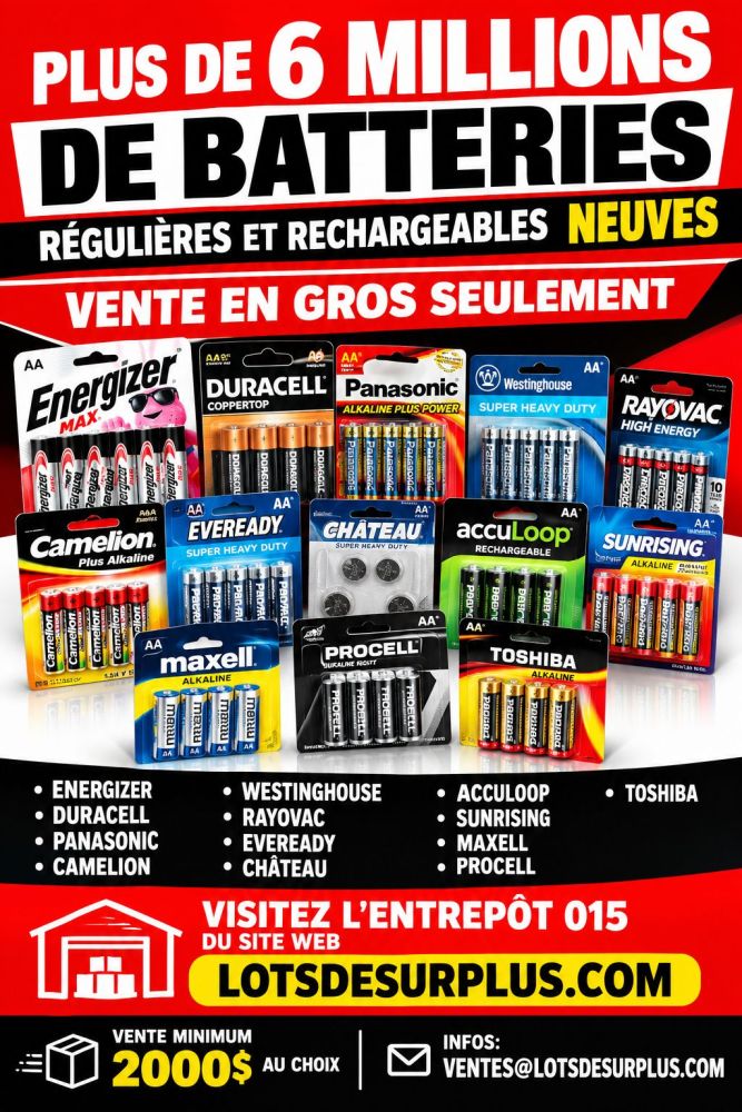 bat 6 MILLIONS DE BATTERIES RÉGULIÈRES ET RECHARGEABLES NEUVES