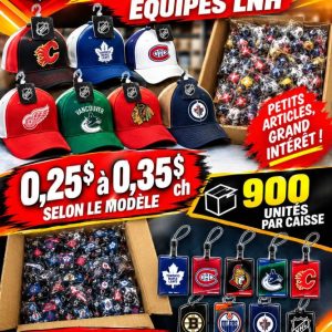 cassque Lot 216,000 Petits Articles de Hockey Équipes LNH