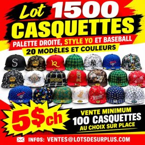 casse Lot 1500 Casquettes Style Yo Fitted et Snapback en 20 Modèles